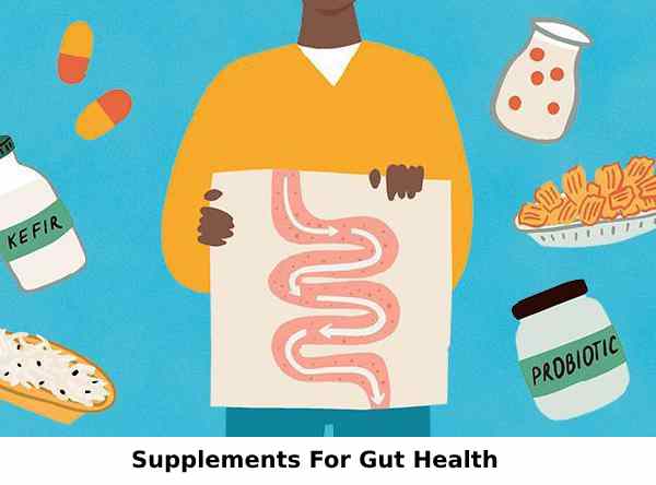 Supplements For Gut Health